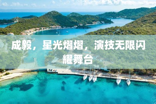 成毅，星光熠熠，演技无限闪耀舞台
