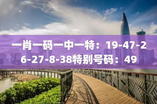 一肖一码一中一特：19-47-26-27-8-38特别号码：49