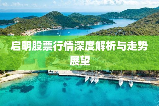 启明股票行情深度解析与走势展望