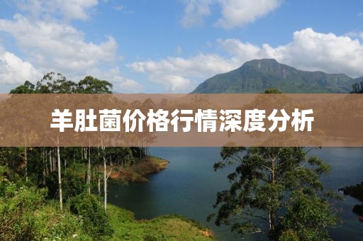 羊肚菌价格行情深度分析