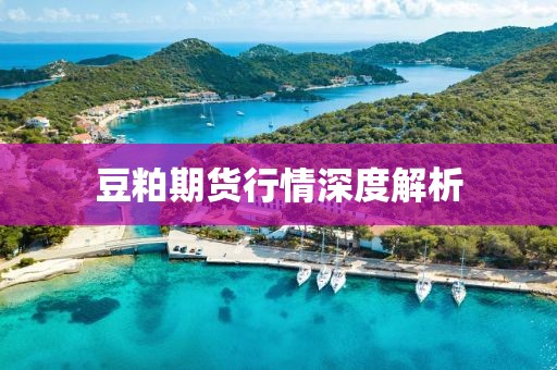 豆粕期货行情深度解析