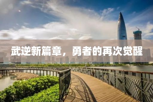 武逆新篇章，勇者的再次觉醒