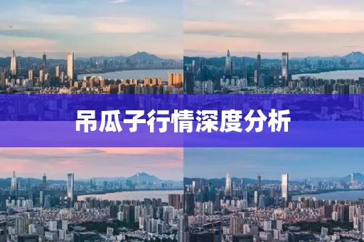 吊瓜子行情深度分析