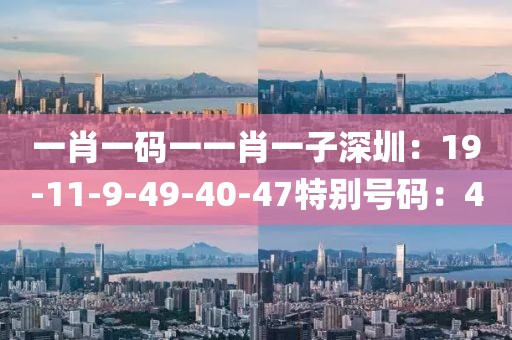 一肖一码一一肖一子深圳：19-11-9-49-40-47特别号码：40