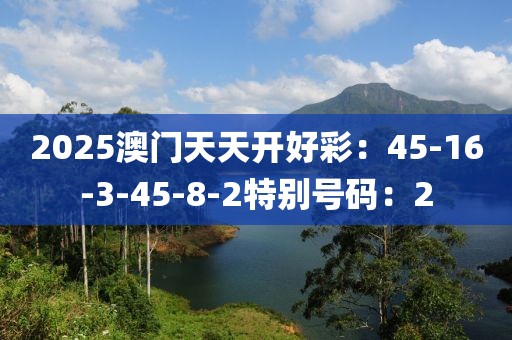 2025澳门天天开好彩：45-16-3-45-8-2特别号码：2
