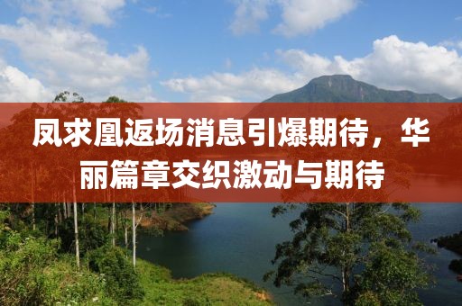 凤求凰返场消息引爆期待，华丽篇章交织激动与期待