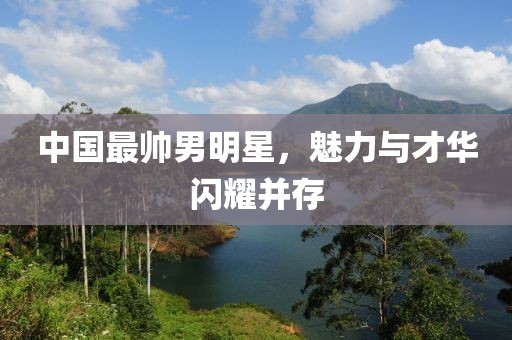 中国最帅男明星，魅力与才华闪耀并存