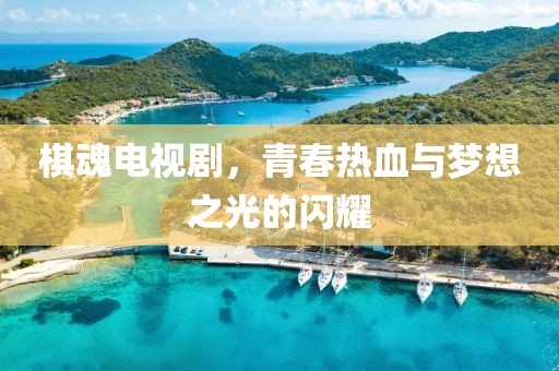 棋魂电视剧，青春热血与梦想之光的闪耀