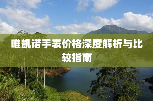 唯凯诺手表价格深度解析与比较指南