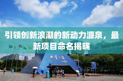 引领创新浪潮的新动力源泉，最新项目命名揭晓