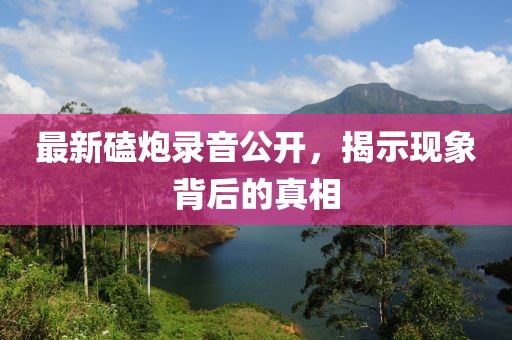 最新磕炮录音公开，揭示现象背后的真相