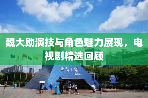 魏大勋演技与角色魅力展现，电视剧精选回顾