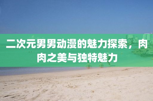 二次元男男动漫的魅力探索，肉肉之美与独特魅力
