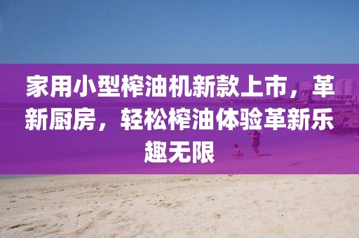 家用小型榨油机新款上市，革新厨房，轻松榨油体验革新乐趣无限