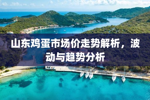 山东鸡蛋市场价走势解析，波动与趋势分析