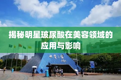 揭秘明星玻尿酸在美容领域的应用与影响