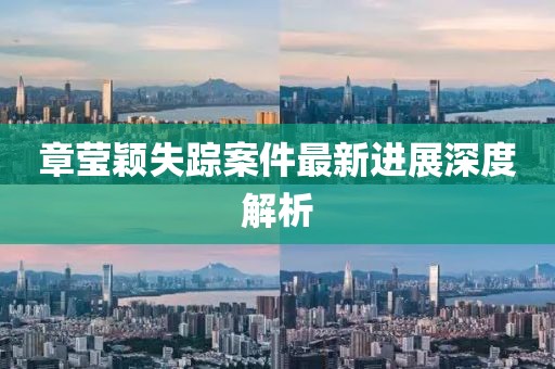 章莹颖失踪案件最新进展深度解析