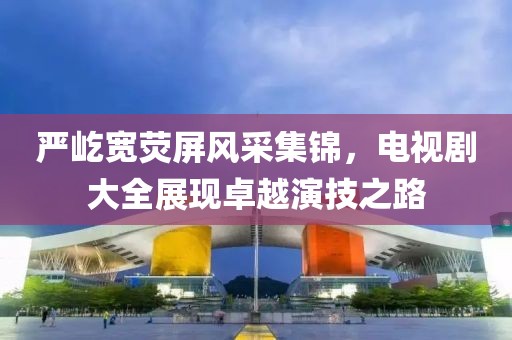 严屹宽荧屏风采集锦，电视剧大全展现卓越演技之路