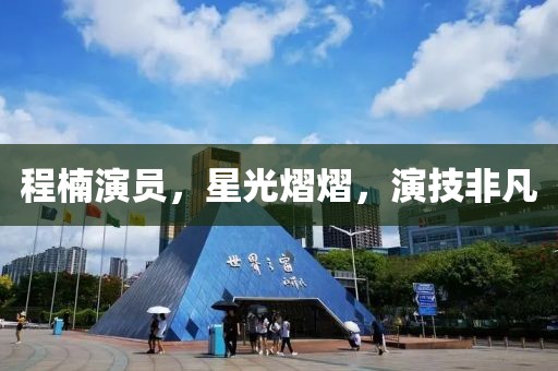 程楠演员，星光熠熠，演技非凡