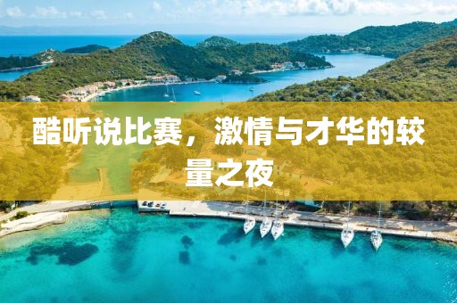酷听说比赛，激情与才华的较量之夜