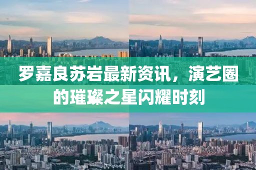 罗嘉良苏岩最新资讯，演艺圈的璀璨之星闪耀时刻