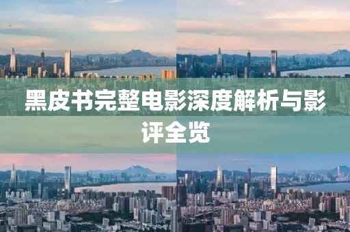 黑皮书完整电影深度解析与影评全览