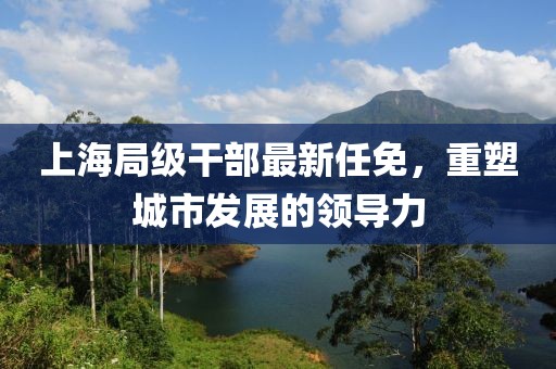 上海局级干部最新任免，重塑城市发展的领导力