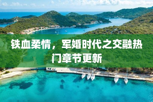 铁血柔情，军婚时代之交融热门章节更新