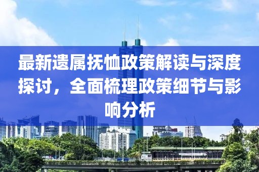 最新遗属抚恤政策解读与深度探讨，全面梳理政策细节与影响分析