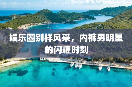娱乐圈别样风采，内裤男明星的闪耀时刻