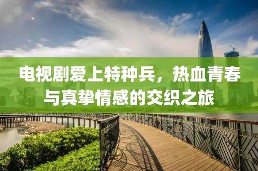 电视剧爱上特种兵，热血青春与真挚情感的交织之旅