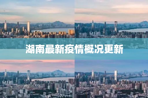 湖南最新疫情概况更新