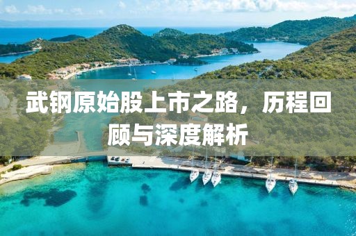 武钢原始股上市之路，历程回顾与深度解析