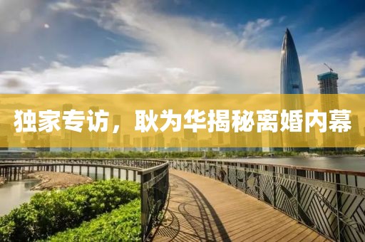 独家专访，耿为华揭秘离婚内幕