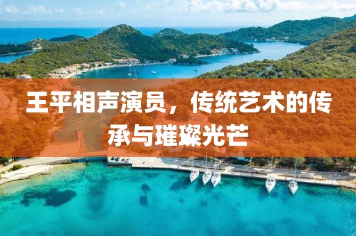 王平相声演员，传统艺术的传承与璀璨光芒