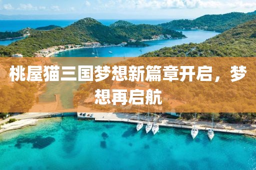 桃屋猫三国梦想新篇章开启，梦想再启航
