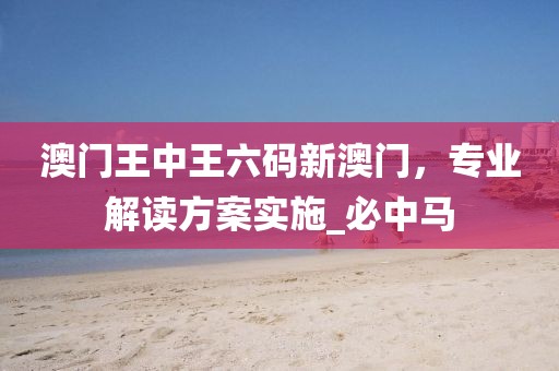 澳门王中王六码新澳门，专业解读方案实施_必中马