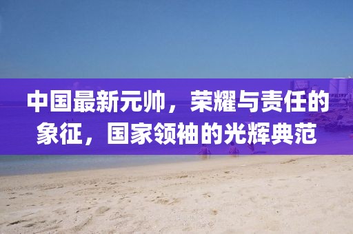 中国最新元帅，荣耀与责任的象征，国家领袖的光辉典范