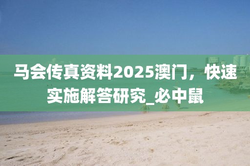 马会传真资料2025澳门，快速实施解答研究_必中鼠