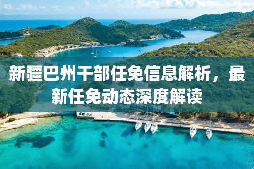 新疆巴州干部任免信息解析，最新任免动态深度解读