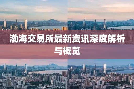 渤海交易所最新资讯深度解析与概览