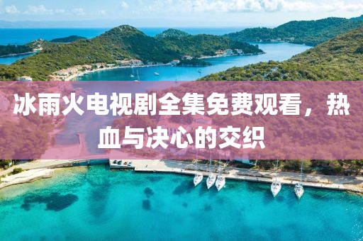 冰雨火电视剧全集免费观看，热血与决心的交织