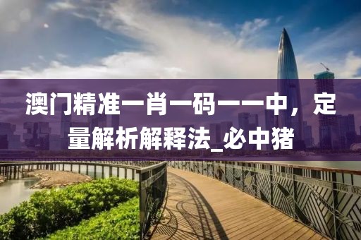 澳门精准一肖一码一一中，定量解析解释法_必中猪