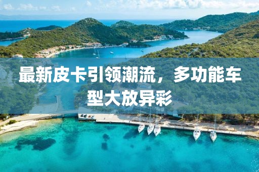 最新皮卡引领潮流，多功能车型大放异彩