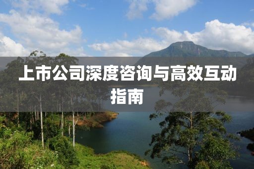 上市公司深度咨询与高效互动指南