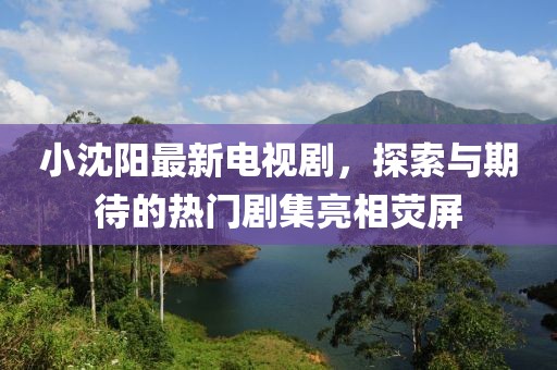 小沈阳最新电视剧，探索与期待的热门剧集亮相荧屏