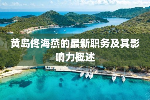 黄岛佟海燕的最新职务及其影响力概述