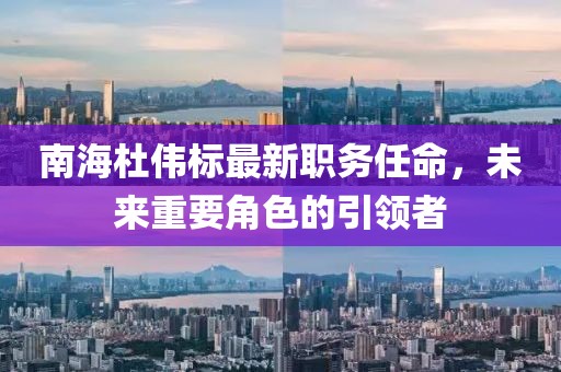 南海杜伟标最新职务任命，未来重要角色的引领者