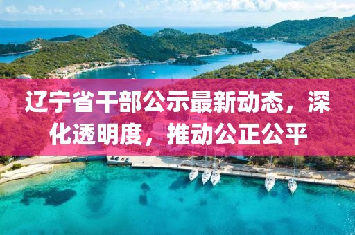 辽宁省干部公示最新动态，深化透明度，推动公正公平
