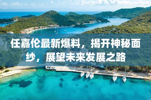 任嘉伦最新爆料，揭开神秘面纱，展望未来发展之路